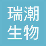 储茂东